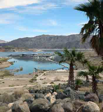 Callville Bay Marina