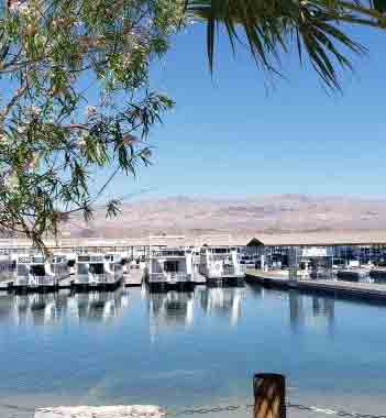 Cottonwood Cove Resort